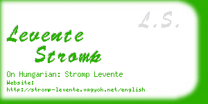 levente stromp business card